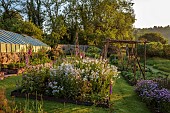 CAISSON GARDEN, SOMERSET: WALLED GARDEN, KITCHEN GARDEN, VEGETABLES, FRUIT, STEPOVER, HAZEL PLANT STRUCTURES, FOXGLOVES, FENNEL, PHACELIA, HESPERIS MATRONALIS VAR. ALBIFLORA