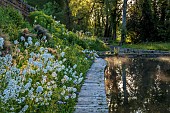CAISSON GARDEN, SOMERSET: VIEW TO THE POUND, A DEEP POND, WATER, POOL, CANAL, REFLECTIONS, REFLECTED, HESPERIS, EUPHORBIA PALUSTRIS, MATRONALIS VAR. ALBIFLORA, IRISES