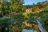 CAISSON GARDEN, SOMERSET: THE POUND, DECKING, HESPERIS MATRONALIS VAR. ALBIFLORA, EUPHORBIA PALUSTRIS, POOL, WATER, POND, HOUSE, REFLECTED, REFLECTIONS