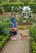 PRIORS MARSTON, WARWICKSHIRE, THE MANOR HOUSE: OWNER KATIE PICKING PEONIES IN THE WALLED KITCHEN GARDEN