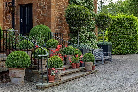 PRIORS_MARSTON_WARWICKSHIRE_THE_MANOR_HOUSE_THE_FRONT_STEPS_TERRACOTTA_CONTAINERS_WITH_GERANIUMS_CLI