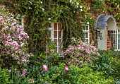 PRIORS MARSTON, WARWICKSHIRE, THE MANOR HOUSE: COTTAGES BESIDE THE WALLED GARDEN, MAY, VARIEGATED WEIGELIA, PEONIES