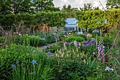 PRIORS MARSTON, WARWICKSHIRE, THE MANOR HOUSE: MAY, THE KITCHEN GARDEN, VEGETABLE GARDEN, POTAGER, PEONIES, PATH, GREENHOUSE, IRIS, WALLED GARDEN, CUTTING GARDEN