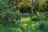 HIGHFIELD FARM, MONMOUTHSHIRE: MAY, RED, YELLOW, CREAM FLOWERS, BLOOMS OF ROSES, ROSA EYE OF THE TIGER, PERSICA ROSE, BENCH, SEAT, GLEDITSIA TRICANTHOS