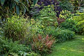 HIGHFIELD FARM, MONMOUTHSHIRE: MAY, SHADE, WOODLAND, CORNUS KOUSA CHINENSIS MILKY WAY, DOGWOODS, TREES, DECIDUOUS