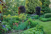 HIGHFIELD FARM, MONMOUTHSHIRE: MAY, SPRING, PATH, BORDER WITH IRIS KENT PRIDE, BEARDED IRIS