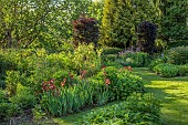 HIGHFIELD FARM, MONMOUTHSHIRE: MAY, SPRING, PATH, BORDER WITH IRIS KENT PRIDE, BEARDED IRIS