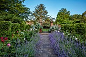 THE MANOR HOUSE, BLEDLOW, BUCKINGHAMSHIRE: MAY, THE WALLED KITCHEN, VEGETABLE GARDEN, PEONIES, CATMINT, PATH