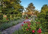 THE MANOR HOUSE, BLEDLOW, BUCKINGHAMSHIRE: MAY, THE WALLED KITCHEN, VEGETABLE GARDEN, PEONIES, CATMINT AND PATH