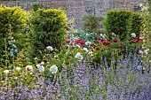 THE MANOR HOUSE, BLEDLOW, BUCKINGHAMSHIRE: MAY, THE WALLED KITCHEN, VEGETABLE GARDEN, PEONIES, CATMINT