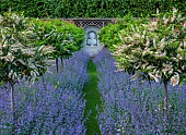 THE MANOR HOUSE, BLEDLOW, BUCKINGHAMSHIRE: MAY, MURAL OF VERTUMNUS IN THE MANNER OF ARCHIMBOLDO BY OWEN TURVILLE, STANDARD PRUNUS LUSITANICA, NEPETA WALKERS LOW, PATH, VISTA