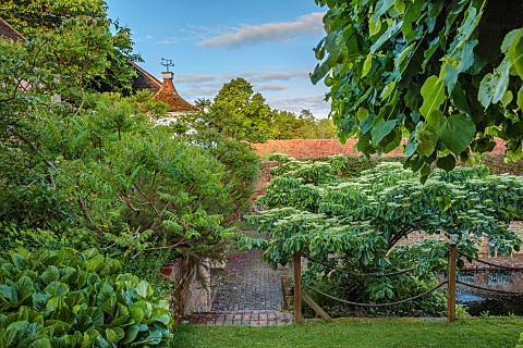 THE_MANOR_HOUSE_BLEDLOW_BUCKINGHAMSHIRE_MAY_PATH_BERGENIA_PARROTIA_PERSICA_RHUS_TYPHINA_DISSECTA_GRE