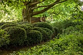 THE MANOR HOUSE, BLEDLOW, BUCKINGHAMSHIRE: MAY, WOODLAND, SCULPTURE OF ELVIS THE ELEPHANT BY SHOBHRA NAYAR, RUTH GANESH, THE REAL ELEPHANT COLLECTIVE