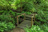 THE MANOR HOUSE, BLEDLOW, BUCKINGHAMSHIRE: THE LYDE WATER GARDEN FORMED OUT OF OLD CRESS BEDS, WOODEN WALKWAY ACROSS STREAM