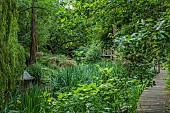 THE MANOR HOUSE, BLEDLOW, BUCKINGHAMSHIRE: THE LYDE WATER GARDEN FORMED OUT OF OLD CRESS BEDS, WOODEN WALKWAY ACROSS STREAM