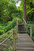 THE MANOR HOUSE, BLEDLOW, BUCKINGHAMSHIRE: THE LYDE WATER GARDEN FORMED OUT OF OLD CRESS BEDS, WOODEN WALKWAY ACROSS STREAM