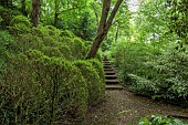 THE MANOR HOUSE, BLEDLOW, BUCKINGHAMSHIRE: THE LYDE WATER GARDEN FORMED OUT OF OLD CRESS BEDS, WOODEN STEPS, PATH