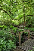 THE MANOR HOUSE, BLEDLOW, BUCKINGHAMSHIRE: THE LYDE WATER GARDEN FORMED OUT OF OLD CRESS BEDS, WOODEN WALKWAY ACROSS STREAM