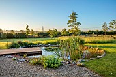 TYTHE BARN, OXFORDSHIRE, DESIGNER SARAH NAYBOUR: JUNE, WILDLIFE POND, DECKING, LAWN, POOL, WATER