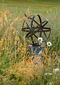TYTHE BARN, OXFORDSHIRE, DESIGNER SARAH NAYBOUR: WILDFLOWER MEADOW, SUNDIAL, OXE EYE DAISIES - LEUCANTHEMUM VULGARE - COUNTRY GARDEN, JUNE