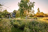 TYTHE BARN, OXFORDSHIRE, DESIGNER SARAH NAYBOUR: WILDFLOWER MEADOW, SCABIOUS, COUNTRY GARDEN, INFORMAL, PATHS, JUNE