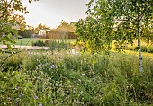 TYTHE BARN, OXFORDSHIRE, DESIGNER SARAH NAYBOUR: WILDFLOWER MEADOW, COUNTRY GARDEN, JUNE, SCABIOUS
