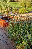 TYTHE BARN, OXFORDSHIRE, DESIGNER SARAH NAYBOUR: JUNE, DECKING, WOODEN JACUZZI, SISYRINCHIUM STRIATUM