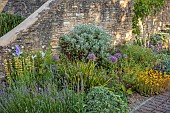 TYTHE BARN, OXFORDSHIRE, DESIGNER SARAH NAYBOUR: JUNE, FRONT GARDEN BESIDE WALL, SISYRINCHIUM STRIATUM, ALLIUMS