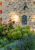 TYTHE BARN, OXFORDSHIRE, DESIGNER SARAH NAYBOUR: JUNE, BORDER, SALVIA NEMEROSA CARADONNA, EUPHORBIA, ROSA MUNSTEAD WOOD, MIRROR ON WALL