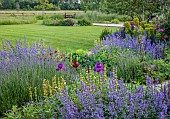 TYTHE BARN, OXFORDSHIRE, DESIGNER SARAH NAYBOUR: JUNE, BORDERS IN PURPLE AND YELLOW, IRIS SULTRY MOOD, SALVIA NEMEROSA CARADONNA, SISYRINCHIUM STRIATUM, LAWN