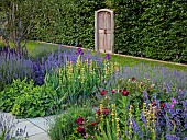 TYTHE BARN, OXFORDSHIRE, DESIGNER SARAH NAYBOUR: JUNE, BORDERS IN PURPLE AND YELLOW, IRIS SULTRY MOOD, SALVIA NEMEROSA CARADONNA, SISYRINCHIUM STRIATUM, BEECH HEDGE, VINTAGE DOOR