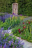 TYTHE BARN, OXFORDSHIRE, DESIGNER SARAH NAYBOUR: JUNE, BORDERS IN PURPLE AND YELLOW, IRIS SULTRY MOOD, SALVIA NEMEROSA CARADONNA, SISYRINCHIUM STRIATUM, BEECH HEDGE, VINTAGE DOOR