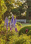 OLD BLADBEAN STUD GARDENS, KENT: JUNE, MIRRORED BORDERS, LAWN, STONE SEAT, DELPHINIUMS