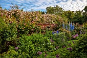 OLD BLADBEAN STUD GARDENS, KENT: JUNE, THE ROSE GARDEN, DELPHINIUMS, PAULS HIMALAYAN MUSK, ROSA SHROPSHIRE LAD, ROSA CONSTANCE SPRY, ALLIUMS, WALLED GARDEN