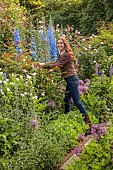 OLD BLADBEAN STUD GARDENS, KENT: JUNE, THE ROSE GARDEN, DELPHINIUMS, GARDEN CREATOR AND OWNER CAROL BRUCE