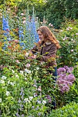 OLD BLADBEAN STUD GARDENS, KENT: JUNE, THE ROSE GARDEN, DELPHINIUMS, GARDEN CREATOR AND OWNER CAROL BRUCE