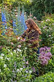 OLD BLADBEAN STUD GARDENS, KENT: JUNE, THE ROSE GARDEN, DELPHINIUMS, GARDEN CREATOR AND OWNER CAROL BRUCE