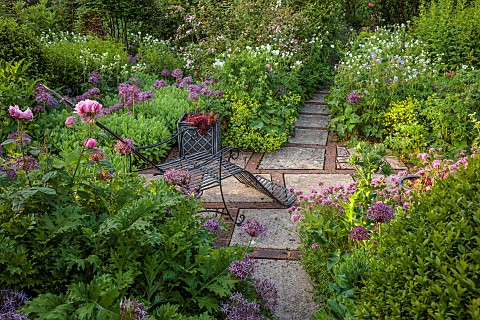 OLD_BLADBEAN_STUD_GARDENS_KENT_JUNE_THE_ROSE_GARDEN_PATH_METAL_SEAT_PHUOPSIS_STYLOSA_ALLIUM_CHRISTOP
