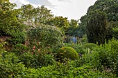 OLD BLADBEAN STUD GARDENS, KENT: JUNE, THE ROSE GARDEN, DELPHINIUMS, PAULS HIMALAYAN MUSK
