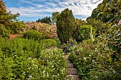 OLD BLADBEAN STUD GARDENS, KENT: JUNE, THE ROSE GARDEN, PATHS, ROSES, ROSA PAULS HIMALAYAN MUSK
