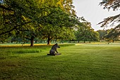 COTTESBROOKE HALL AND GARDENS, NORTHAMPTONSHIRE: JUNE, DAWN, SUNRISE, THE WEST FRONT, LAWN, PARKLAND, STONE STATUE OF WILD BOAR
