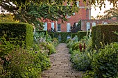 COTTESBROOKE HALL AND GARDENS, NORTHAMPTONSHIRE: JUNE, THE TERRACE, DOUBLE HERBACEOUS BORDERS, PATH, YEW, VISTA, ALLIUMS, LUPINS