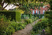 COTTESBROOKE HALL AND GARDENS, NORTHAMPTONSHIRE: JUNE, THE TERRACE, DOUBLE HERBACEOUS BORDERS, PATH, YEW, VISTA, ALLIUMS, LUPINS