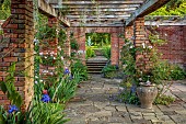 COTTESBROOKE HALL AND GARDENS, NORTHAMPTONSHIRE: JUNE, THE PINE COURT, PERGOLA, IRISES