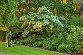 COTTESBROOKE HALL AND GARDENS, NORTHAMPTONSHIRE: JUNE, THE ENTRANCE WALK, LAWN, BORDER, CORNUS KOUSA MILKY WAY