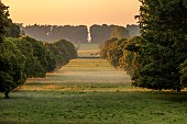COTTESBROOKE HALL AND GARDENS, NORTHAMPTONSHIRE: VIEW ACROSS SOUTH LAWN, DAWN, SUNRISE, BORROWED LANDSCAPE