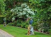 COTTESBROOKE HALL AND GARDENS, NORTHAMPTONSHIRE: THE ENTRANCE WALK, CORNUS KOUSA MILKY WAY, URNS WITH PELARGONIUM HAPPY FACE MAGENTA, PLECTRANTHUS ARGENTATUS, NEMESIA KAROO PINK