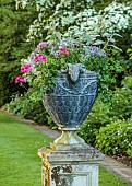 COTTESBROOKE HALL AND GARDENS, NORTHAMPTONSHIRE: THE ENTRANCE WALK, CORNUS KOUSA MILKY WAY, URNS WITH PELARGONIUM HAPPY FACE MAGENTA, PLECTRANTHUS ARGENTATUS, NEMESIA KAROO PINK