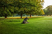 COTTESBROOKE HALL AND GARDENS, NORTHAMPTONSHIRE: DAWN, SUNRISE, THE WEST FRONT, LAWN, PARKLAND, STONE STATUE OF WILD BOAR