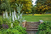 COTTESBROOKE HALL AND GARDENS, NORTHAMPTONSHIRE: THE TERRACE, STEPS, DELPHINIUM CONSTANCE RIVET, ONOPORDUM ACANTHIUM, DELPHINIUM CASSIUS, SALVIA CARADONNA